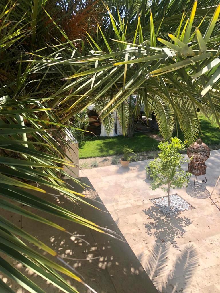 Villa Pauline Avignon Exterior foto